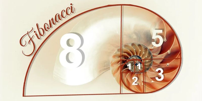 Ứng dụng phương pháp Fibonacci trong cách chơi Baccarat