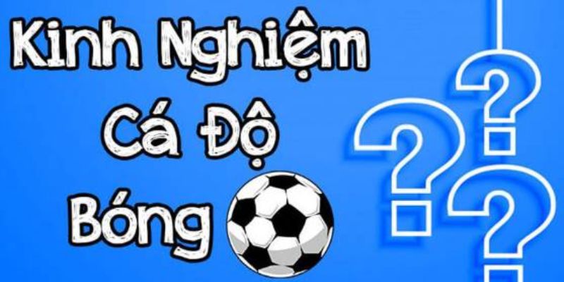 Kinh nghiệm chơi cá độ bóng đá thắng lớn 