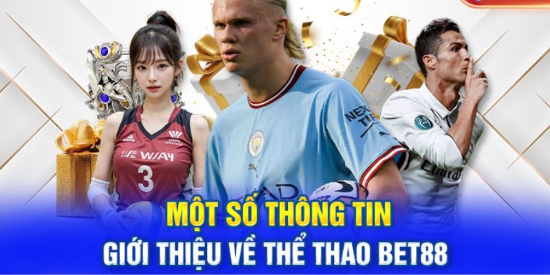 Khái quát về sảnh thể thao bet88