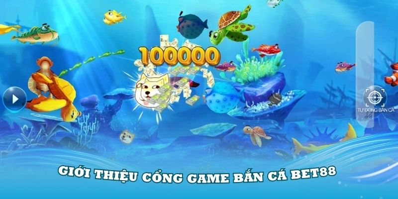 Giới thiệu sơ bộ về cổng game bắn cá Bet88